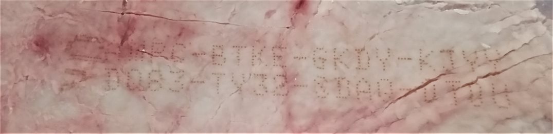 Countermark directly printed on beef Countermark directly printed on beef